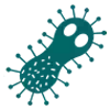 Дезинфекция